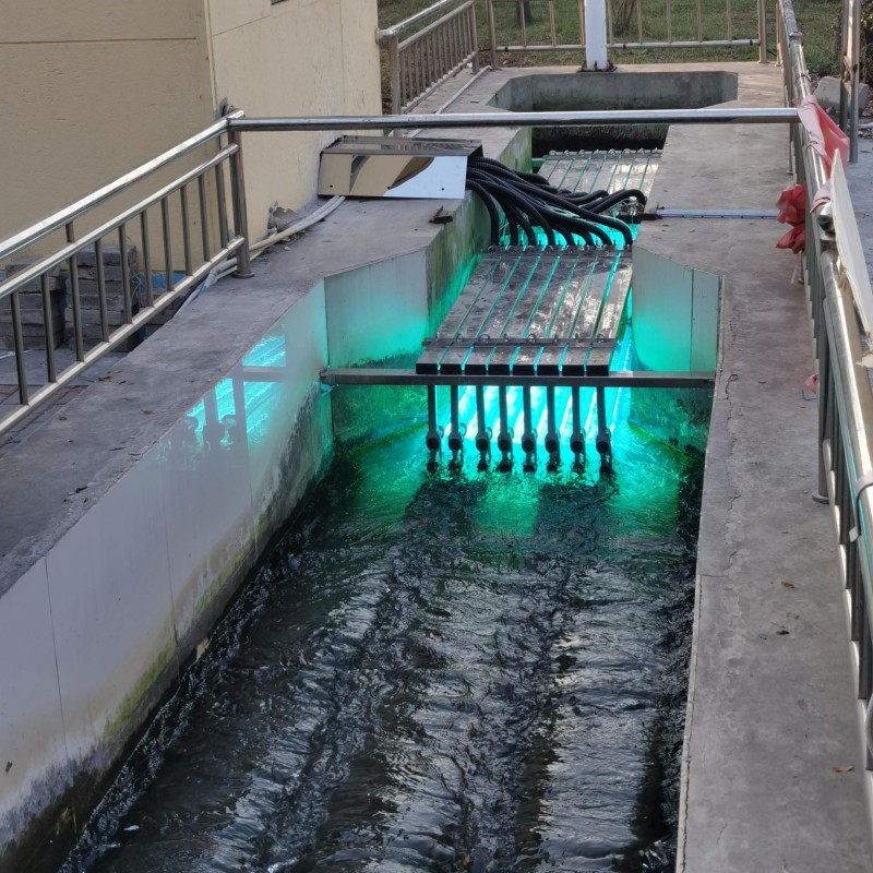 The significance and role of ultraviolet disinfection in water treatment